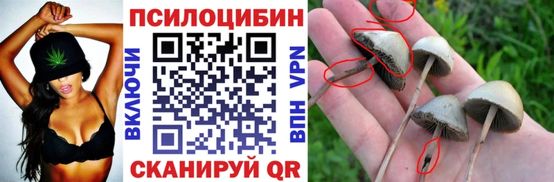 Галлюциногенные грибы Magic Shrooms  даркнет сайт  Оханск 